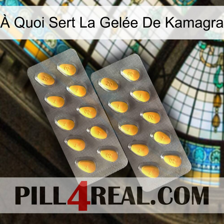 À Quoi Sert La Gelée De Kamagra cialis2